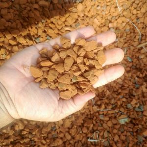 Kırmızı Kırma Taşı